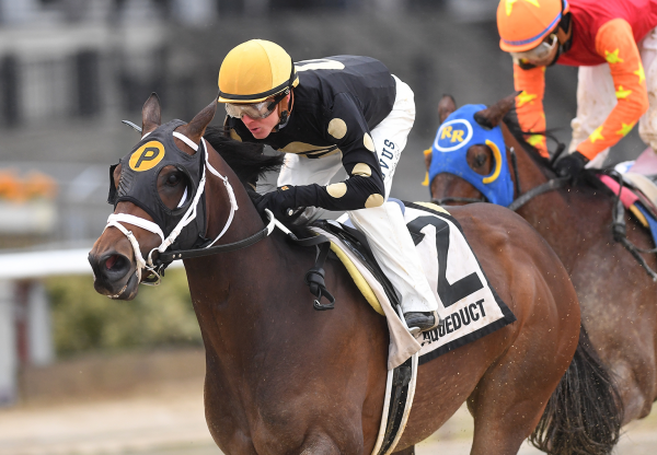 Mischief Joke (Practical Joke) Wins Rego Park Stakes at Aqueduct