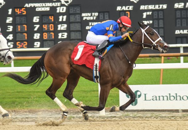 Mystic Lake (Mo Town) Wins Gasparilla Stakes at Tampa Bay Downs