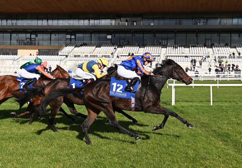 Western Australia (Australia) winning a maiden at Gowran Park