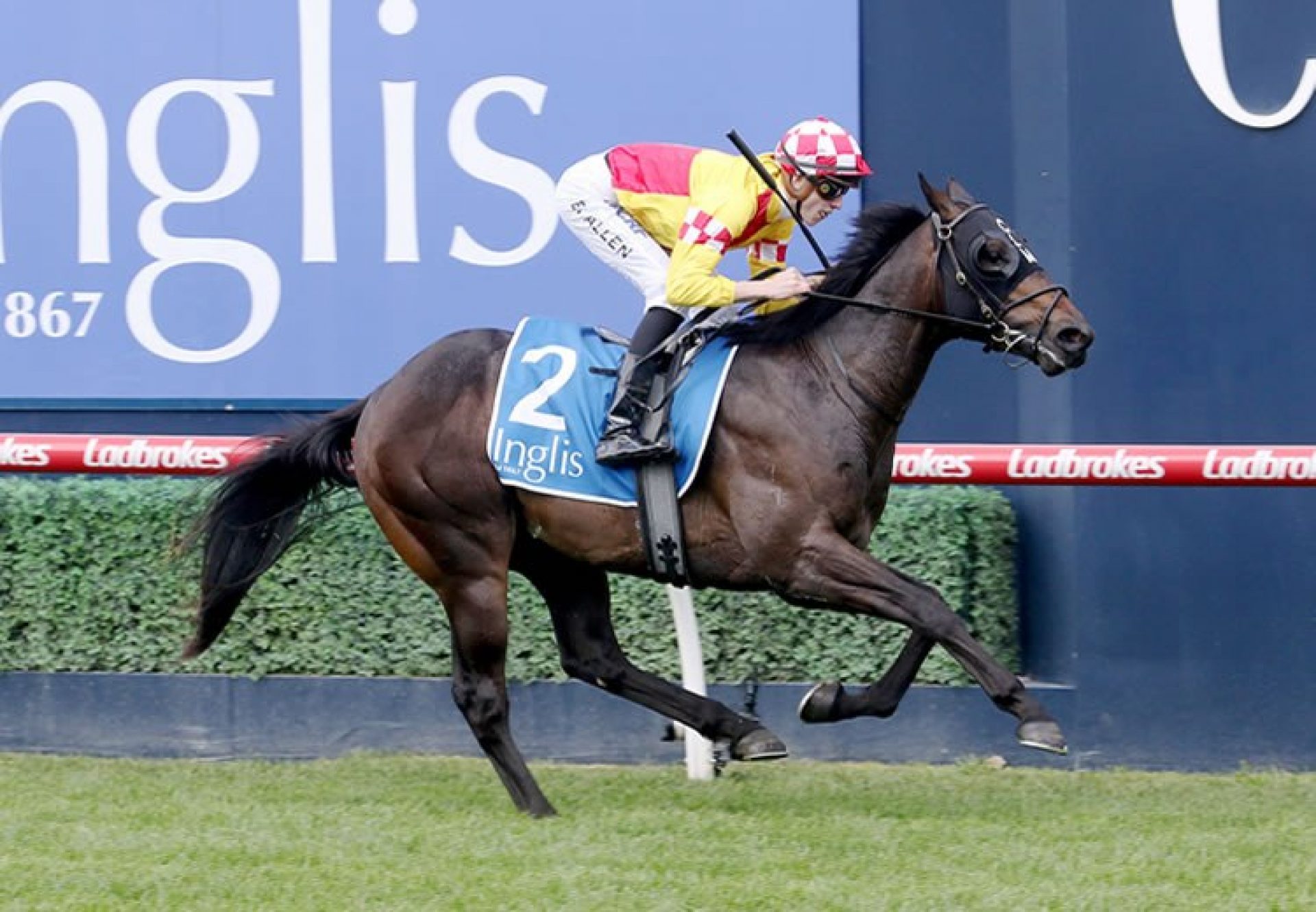 Tanker (Pride Of Dubai) winning the Listed Debutant Stakes at Caulfiel