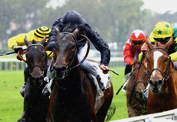 Greenland (Saxon Warrior) Wins The Group 3 Prix Greffulhe at Saint-Cloud