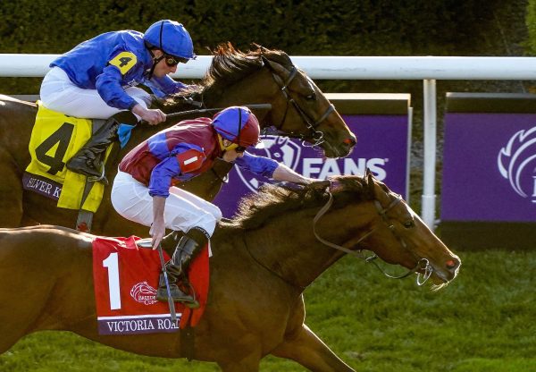 Victoria Road (Saxon Warrior) Wins The Grade 1 Breeders’ Cup Juvenile Turf at Keeneland