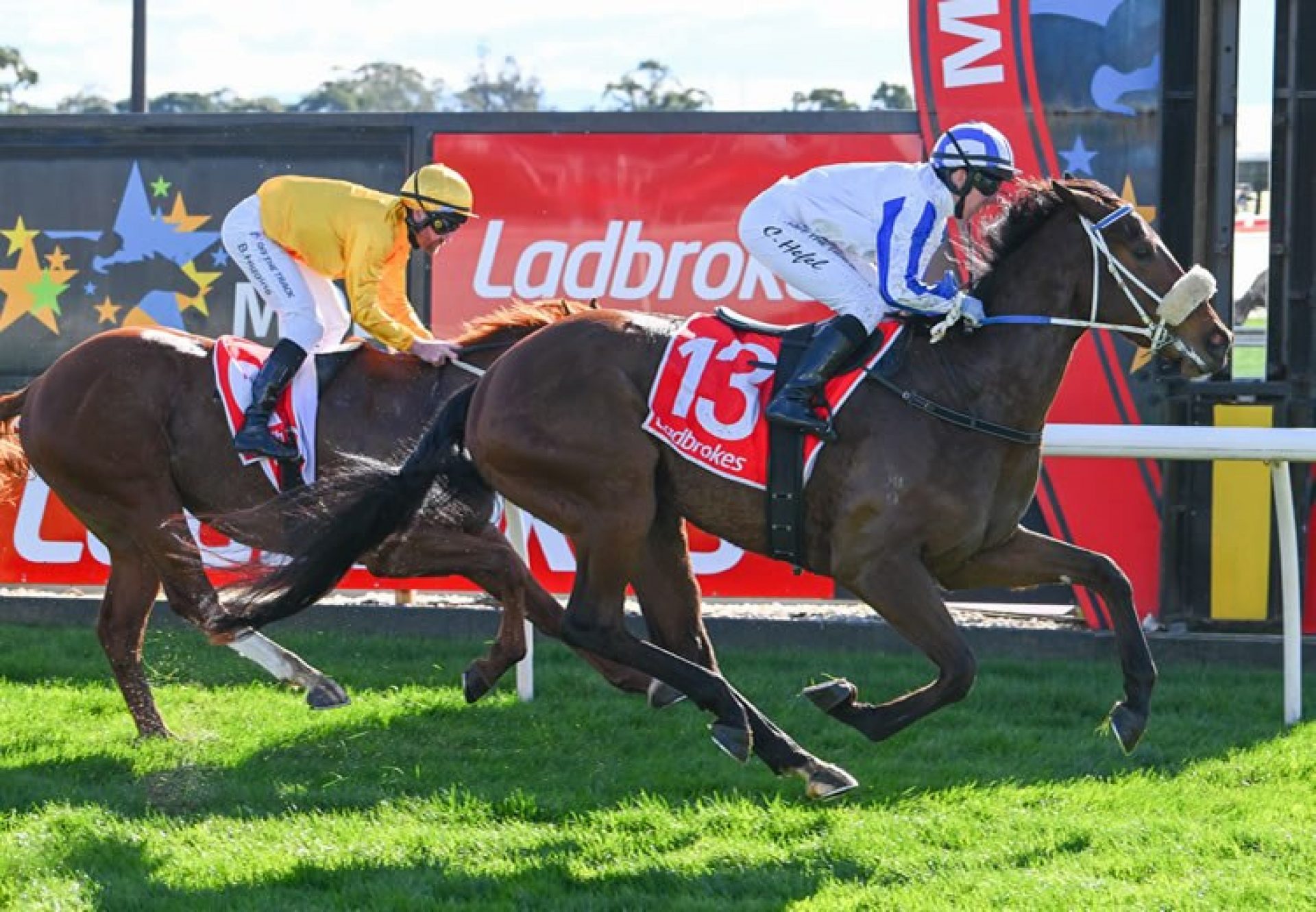 Mollynickers (Pierro) winning at Moe