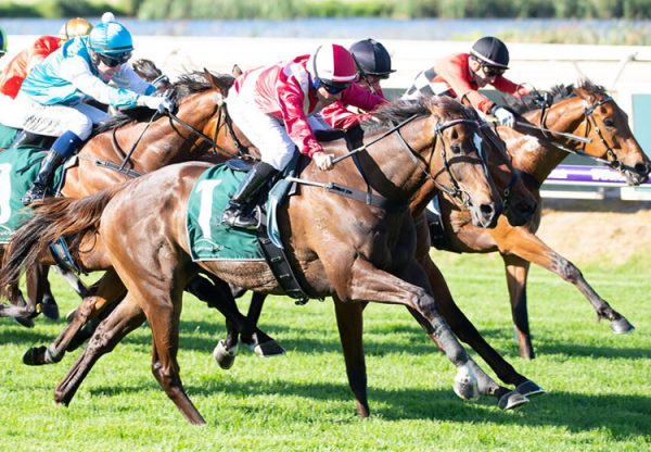 Regal Power (Pierro) winning of the Kingston Town at Ascot