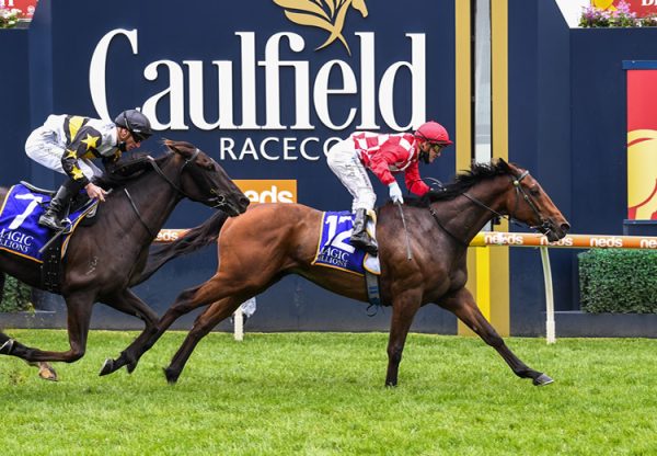 Saltpeter (Pierro) winning at Caulfield