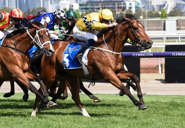 Rocha Clock (Pierro) winning the Inglis Bracelet at Flemington