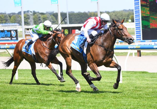 Drop The Verse (Merchant Navy) winning at Ballarat