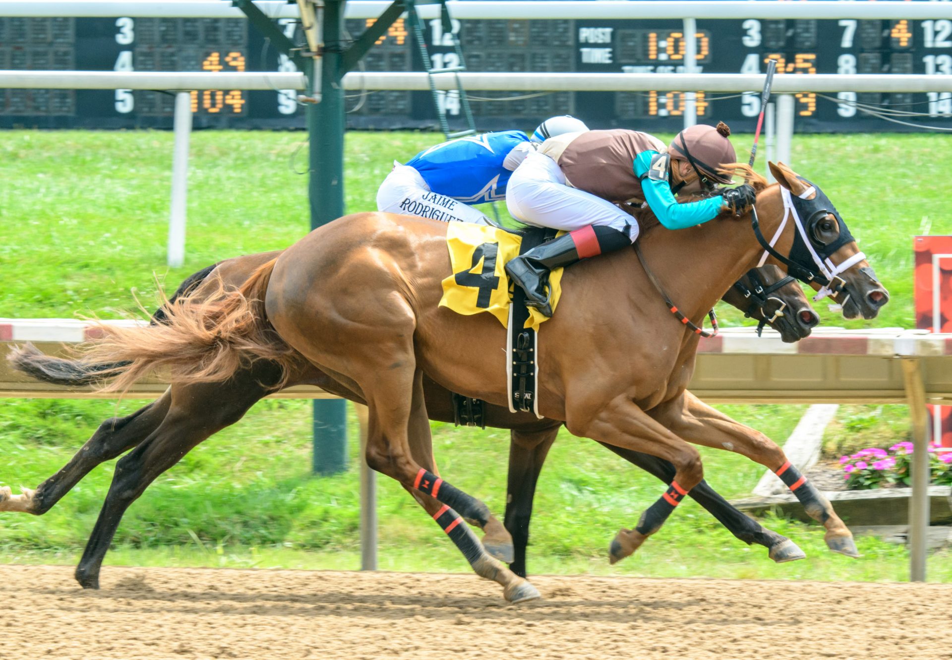 Penny Polka (Mendelssohn) Breaks Her Maiden At Delaware Park