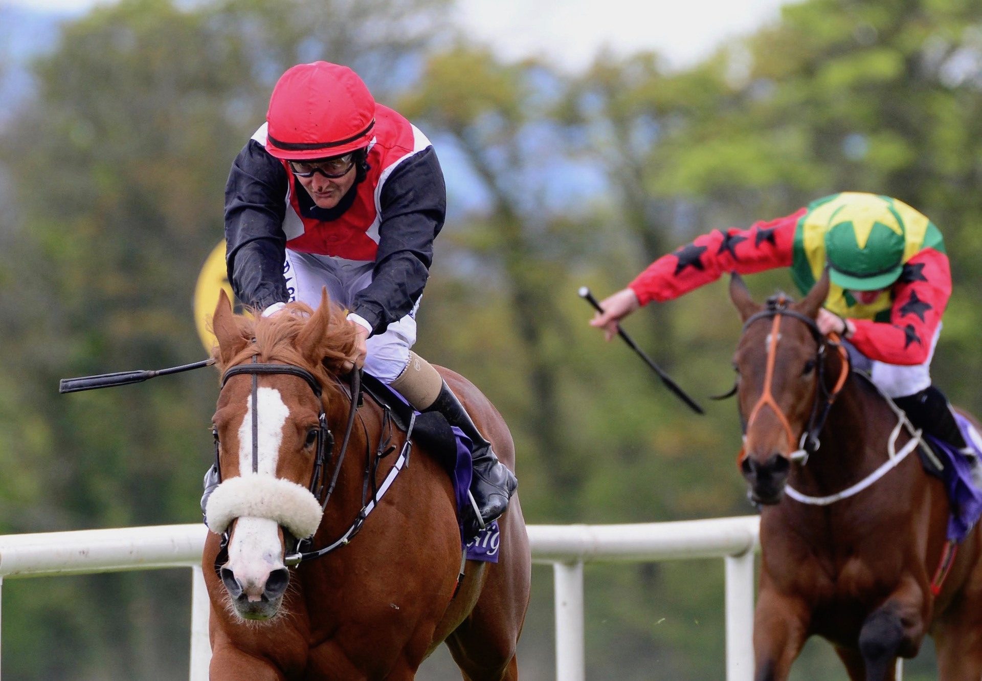 Hell Bent (Mastercraftsman) Wins His Maiden At Sligo