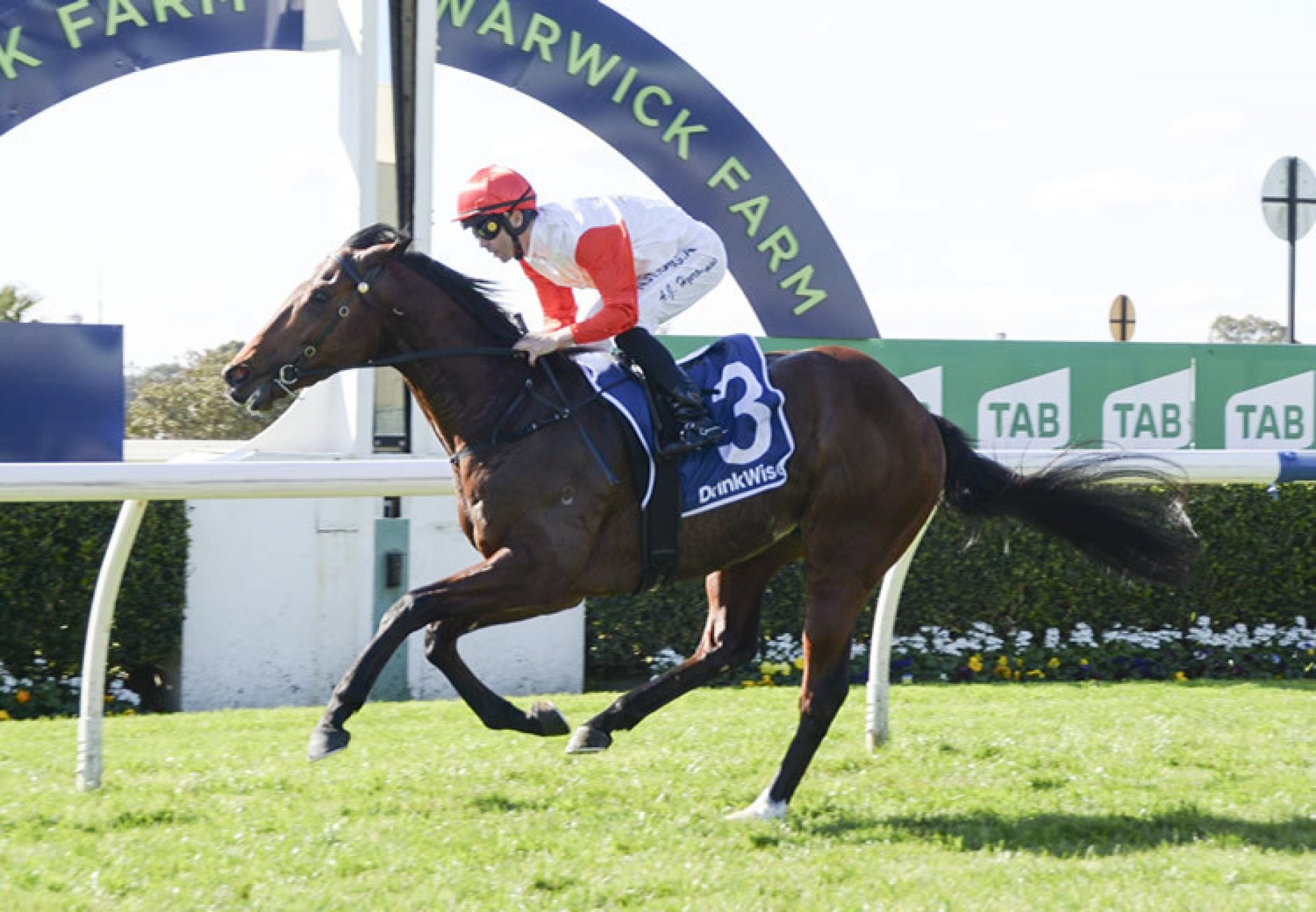 Les Vampires (Pierro) winning at Warwick Farm