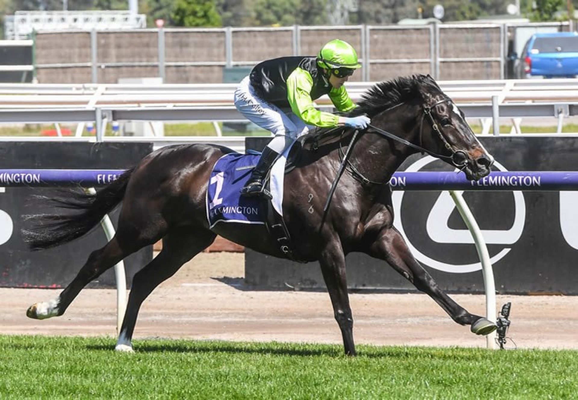 Persan (Pierro) wins the Listed JRA Trophy at Flemington