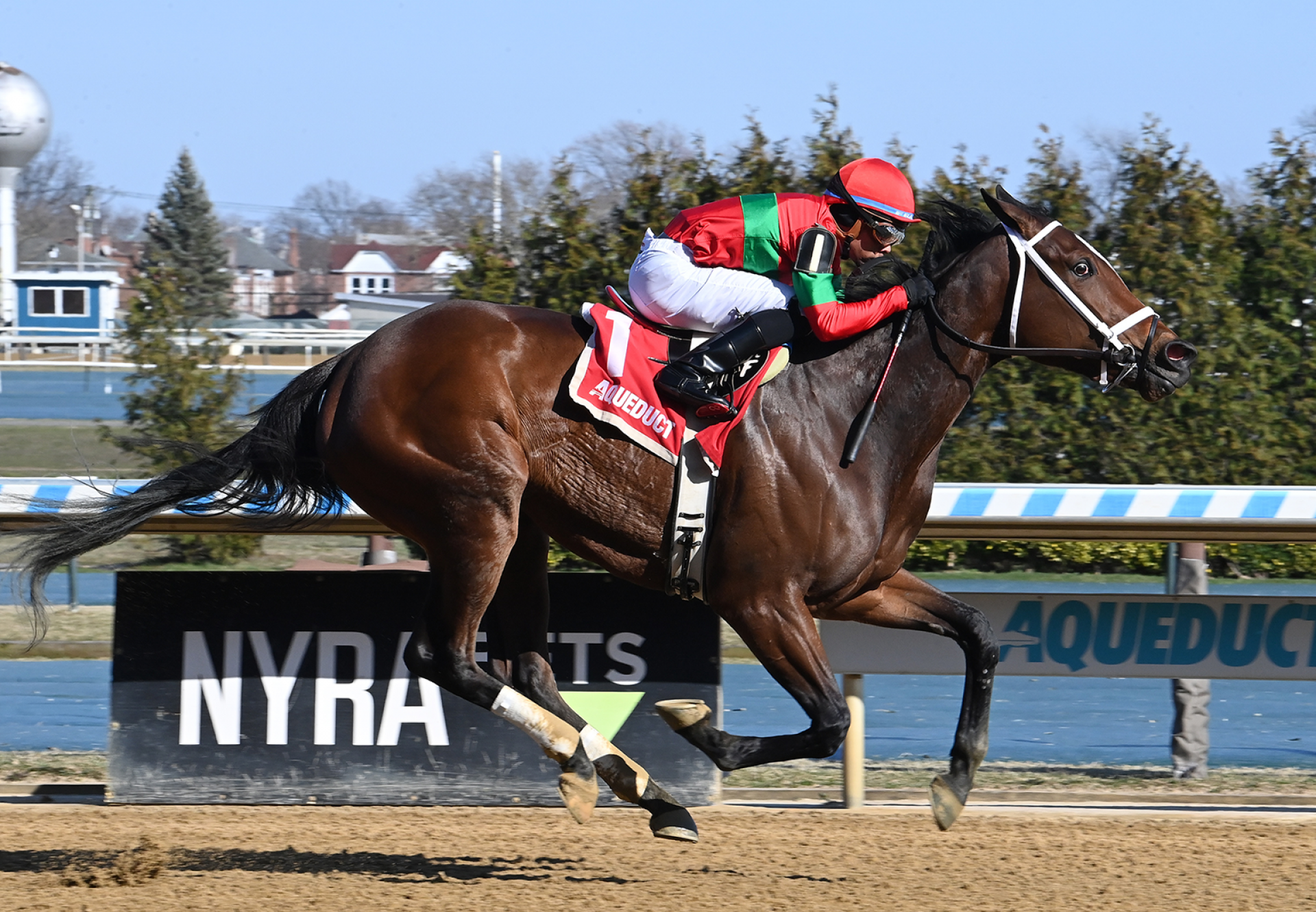 Ghalia Princess (American Pharoah) Wins Cicada Stakes at Aqueduct