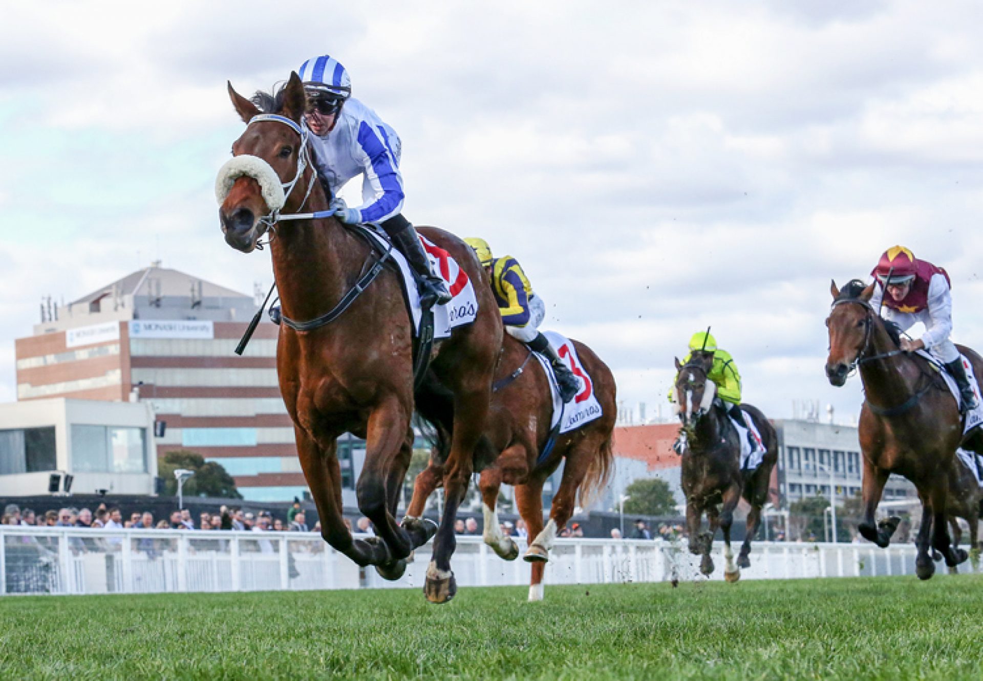 Mollynickers (Pierro) wins at Caulfield