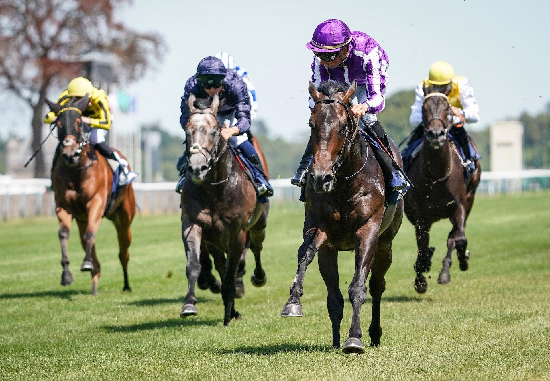 Blackbeard (No Nay Never) Wins The Group 2 Prix Robert Papin at Chantilly