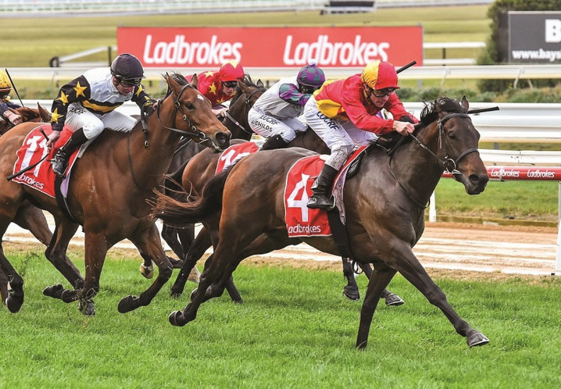 Levendi (Pierro) winning at Mornington