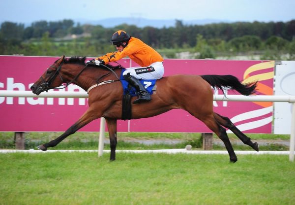 Escape Footwear (Mahler) winning a hurdle race at Tramore