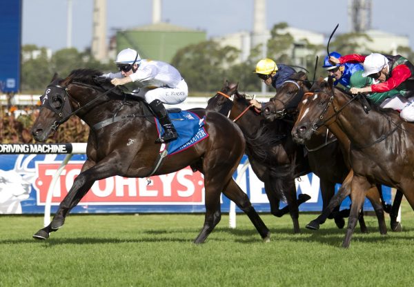 Vancouver Winning The G1 Golden Slipper At Randwick