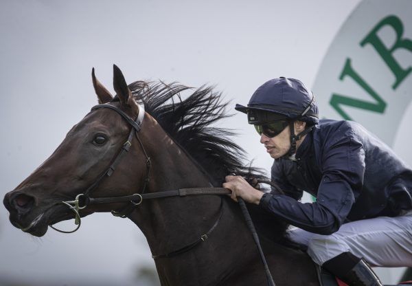 Mythical (Camelot) wins maiden at Gowran Park