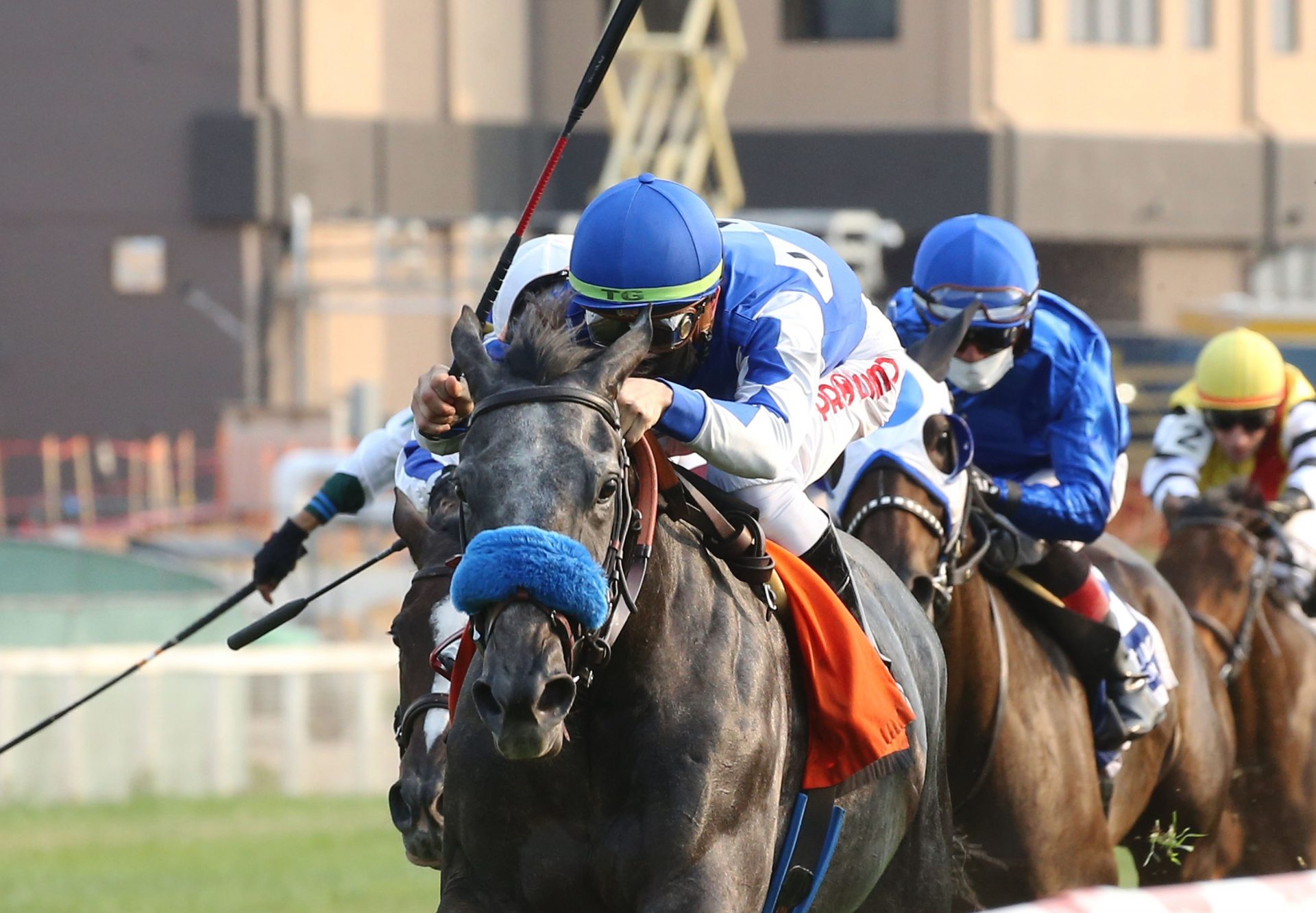 Family Way (Uncle Mo) Wins Kentucky Downs Ladies Marathon