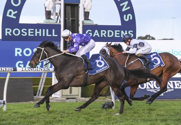 Kalino (Pierro) wins at Rosehill