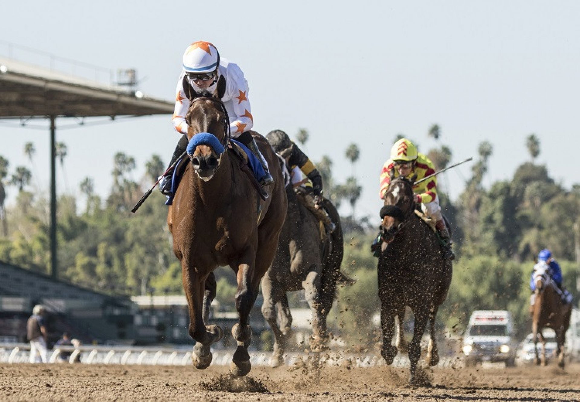 Dream Tree (Uncle Mo) winning the G2 Las Virgenes Stakes at Santa Anita