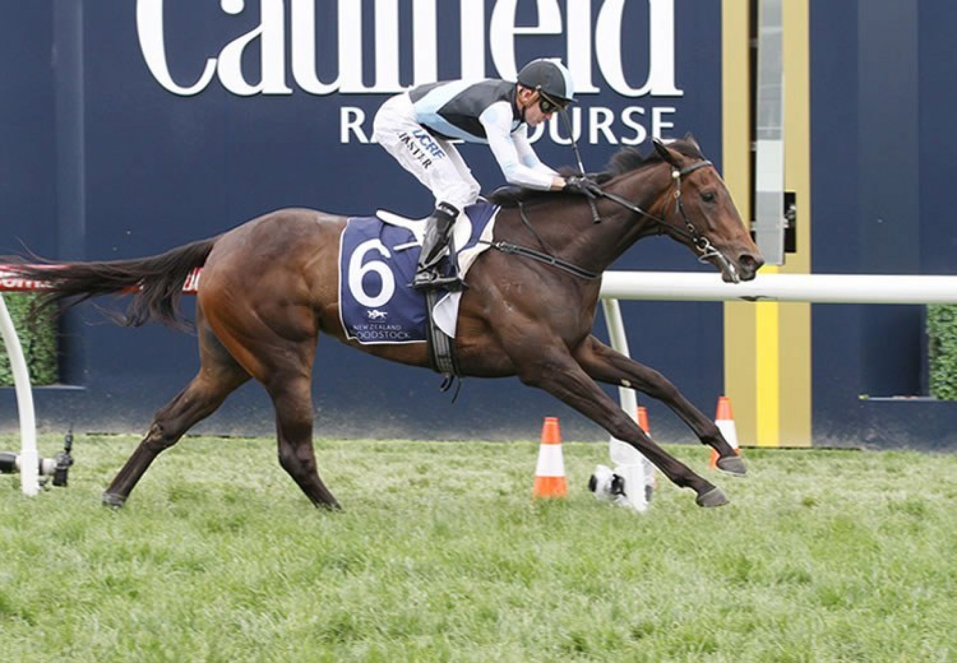 Pinot (Pierro) winning the G3 MRC Ethereal Stakes at Caulfield