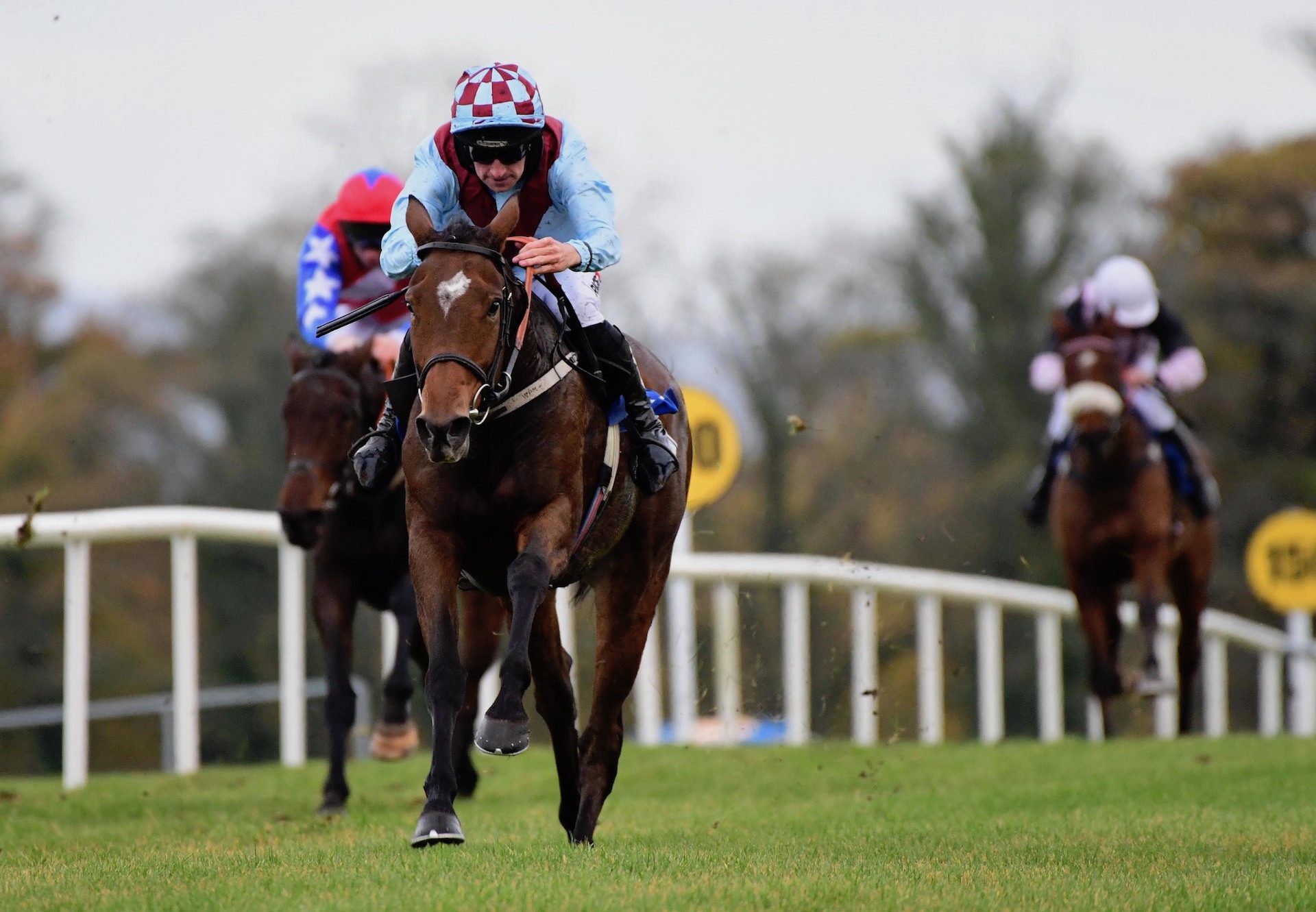 Bohemian Birch (Mahler) Wins The Bumper At Sligo