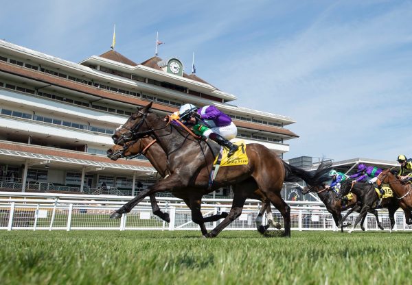 Alcohol Free (No Nay Never) Wins The Fred Darling Stakes at Newbury