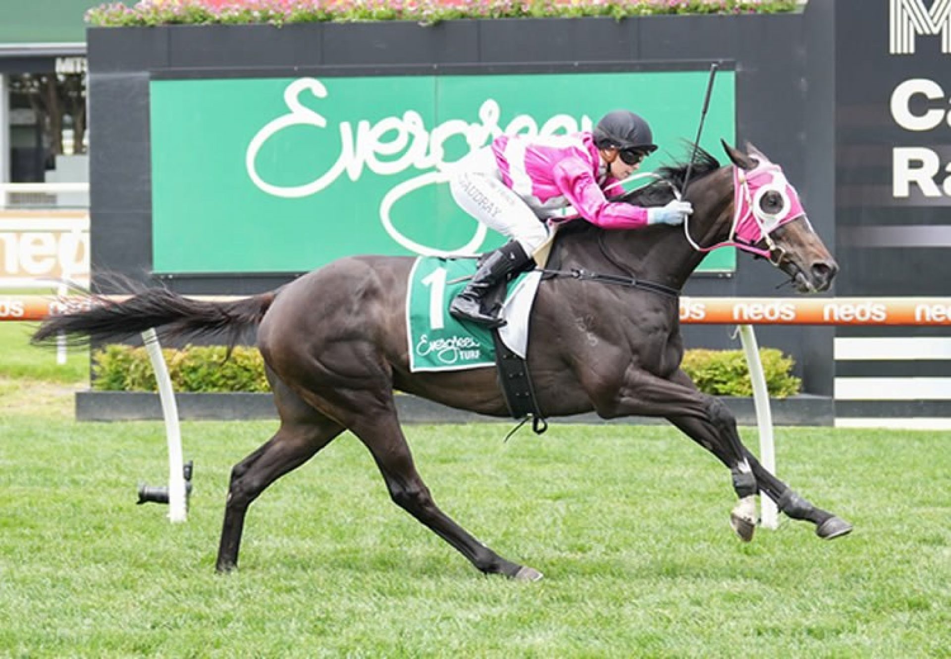 Regal Power (Pierro) winning at Caulfield