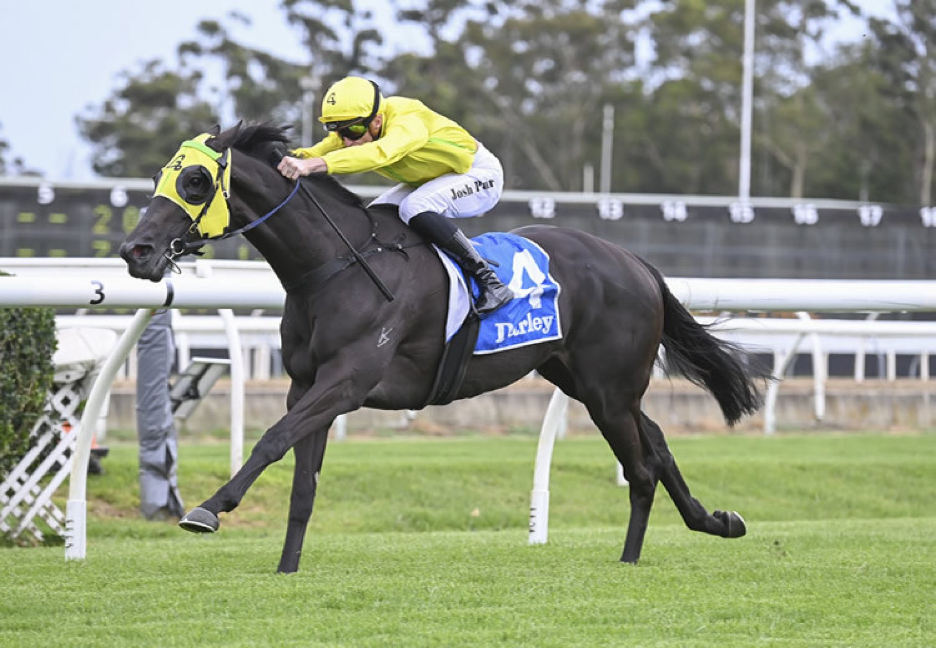 Chenin (Pierro) winning at Warwick Farm