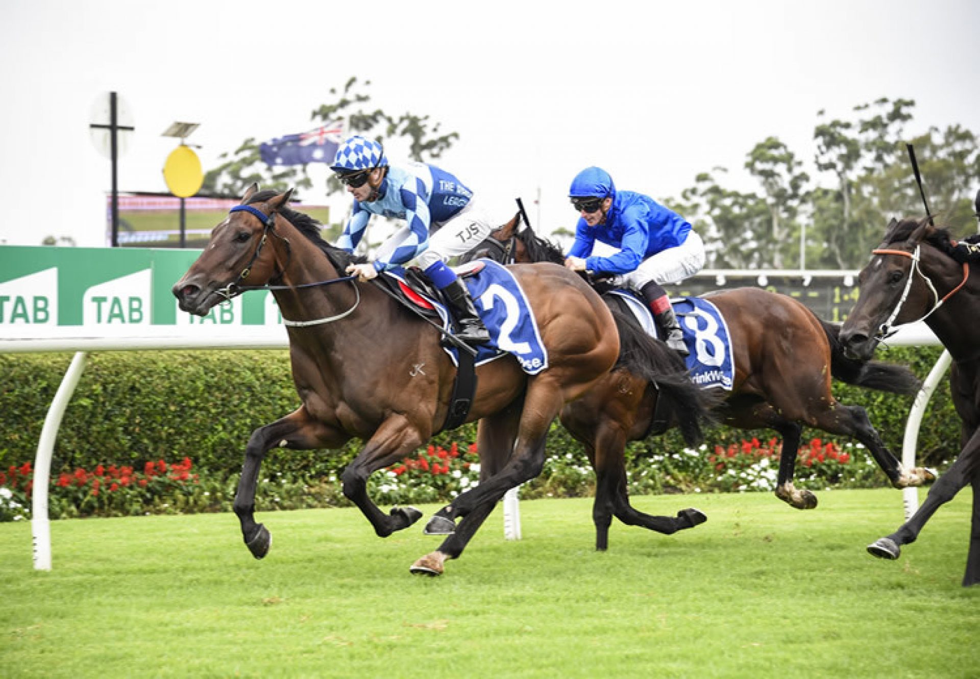 Cool Jakey (Pierro) wins at Warwick Farm