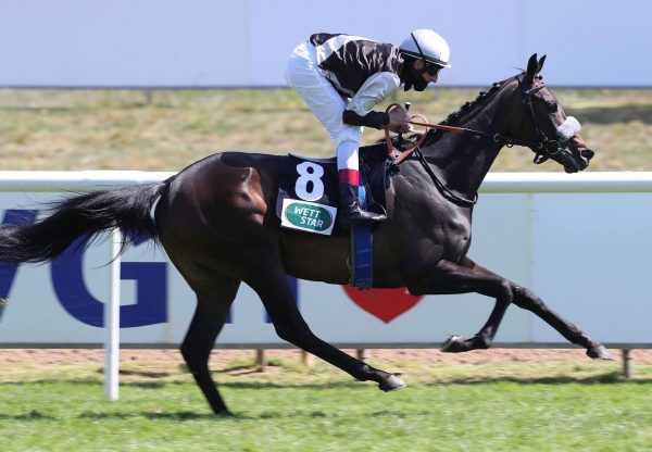 Sunny Queen (Camelot) winning the Listed Goddert Sybrecht-Erinnerungrennan at Hannover