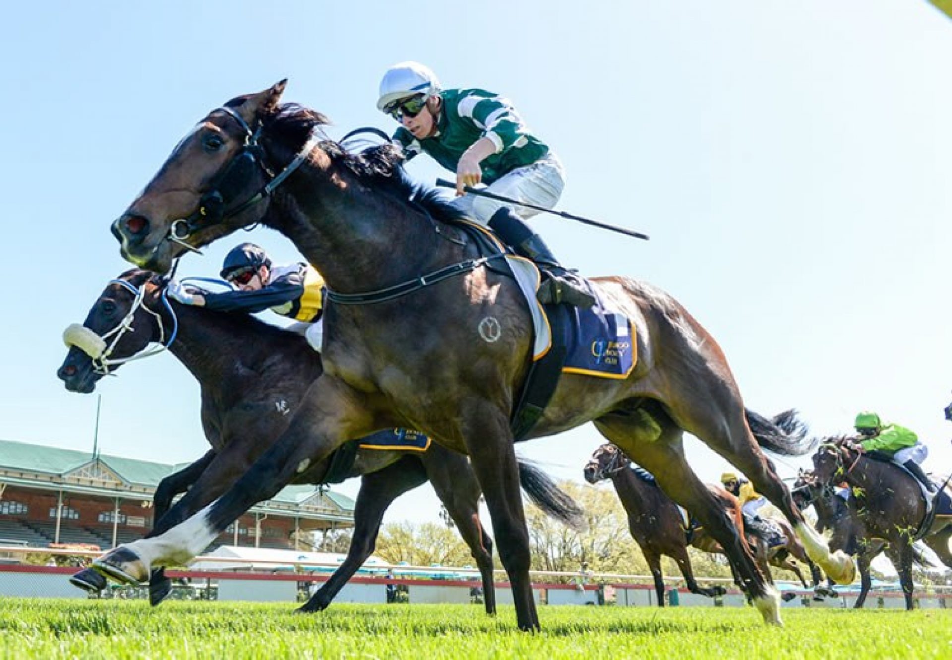 Aztec State (Pierro) winning at Bendigo