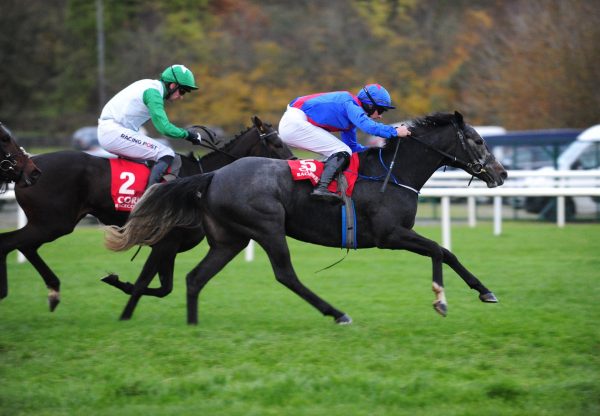 The Getaway Star (Getaway) winning the mares bumper at Cork