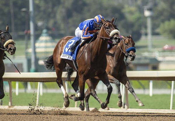 Harvest Moon (Uncle Mo) Wins Gr.2 Zenyatta Stakes at Santa Anita