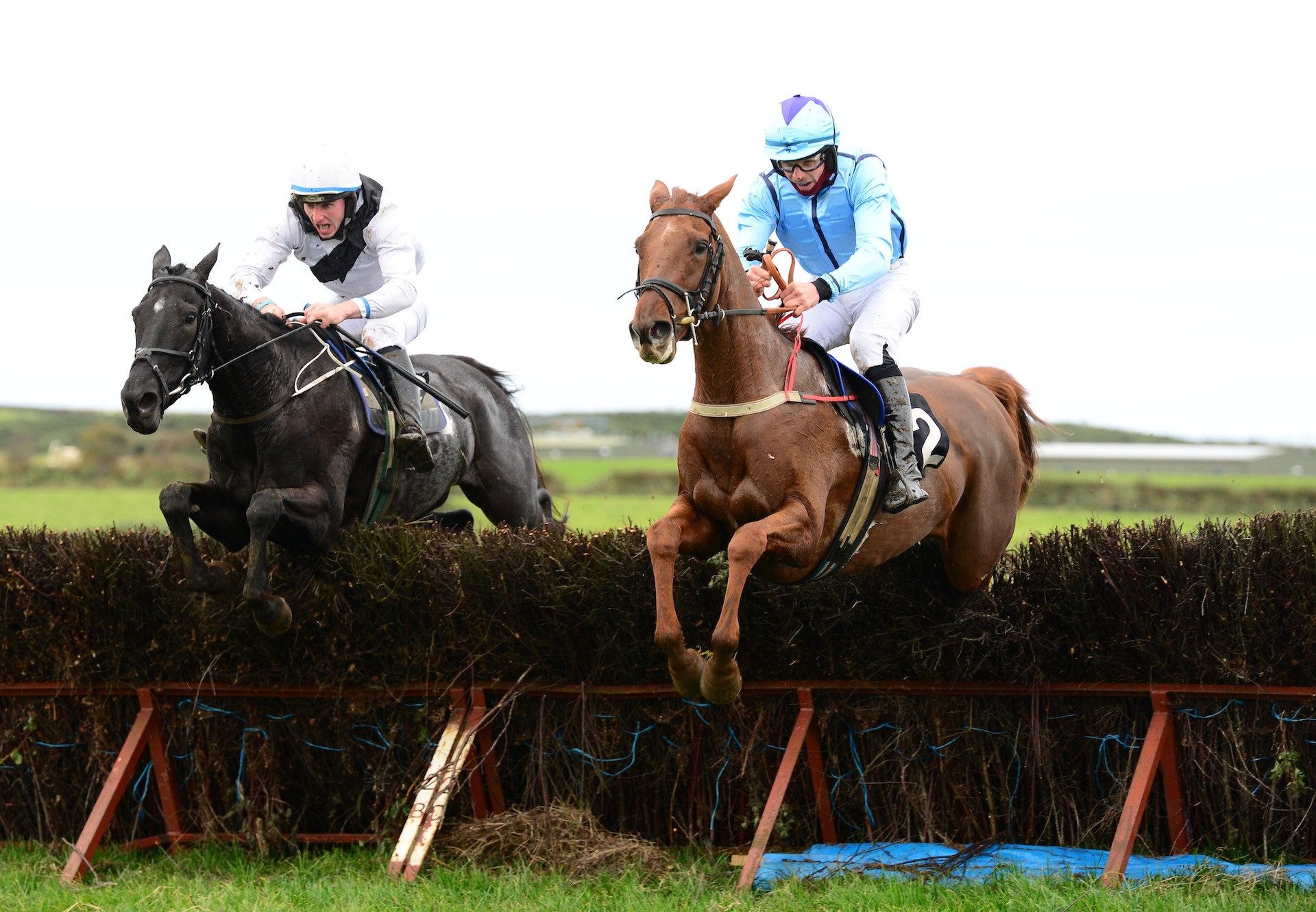 Well Briefed (Mahler) Wins The Mares Maiden At Portrush