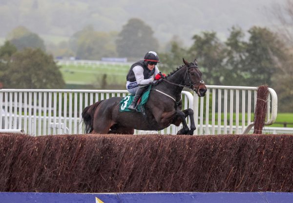 Flooring Porter (Yeats) Wins On Chase Debut At Cheltenham