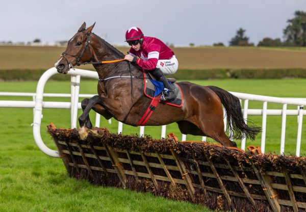 Croke Park (Walk In The Park) Wins On Hurdle Debut at Clonmel