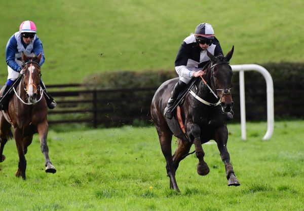 Unionhill (Soldier Of Fortune) Impresses At Loughanmore