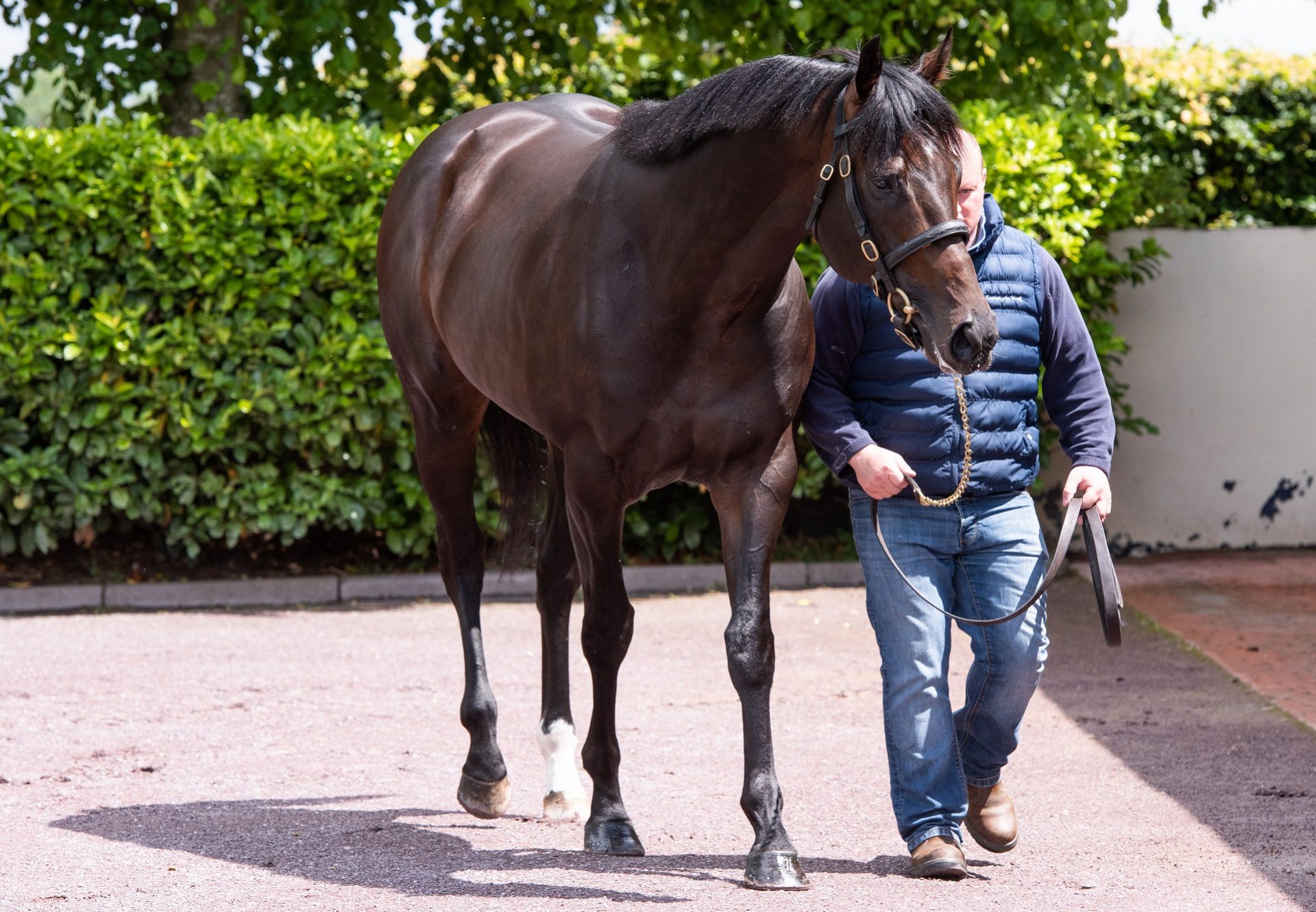 Tennessee Stud (Wootton Bassett) Wins The Group 1 Criterium De Saint Cloud