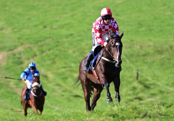 Brave Fortune (Soldier Of Fortune) Wins The 4YO Maiden at Casteltown Geoghegan