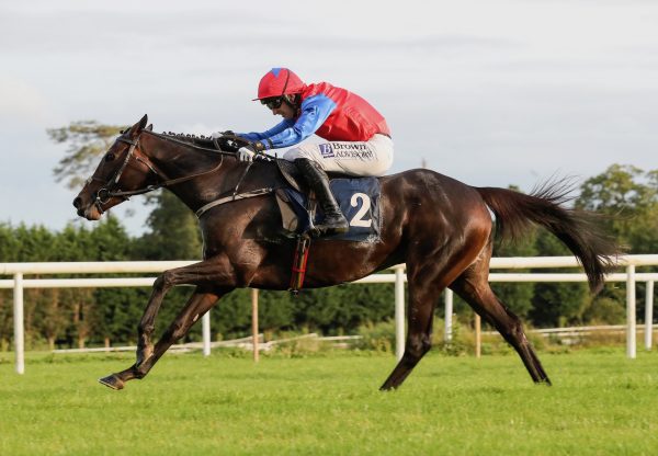 Aurora Vega (Walk In The Park) Wins The Listed Mares Bumper At Gowran Park