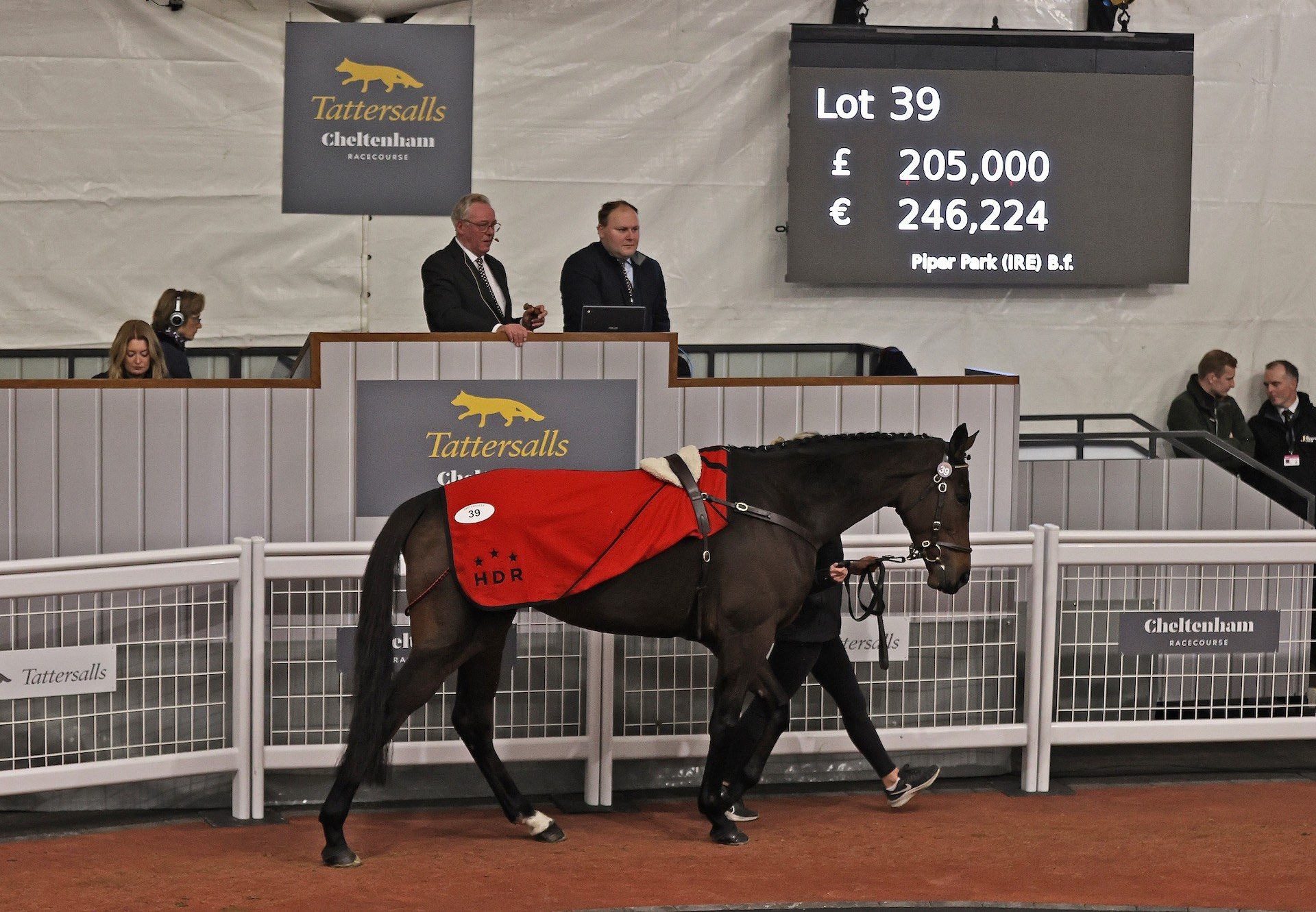 Piper Park (Walk In The Park) Sells For £205,000 at Cheltenham