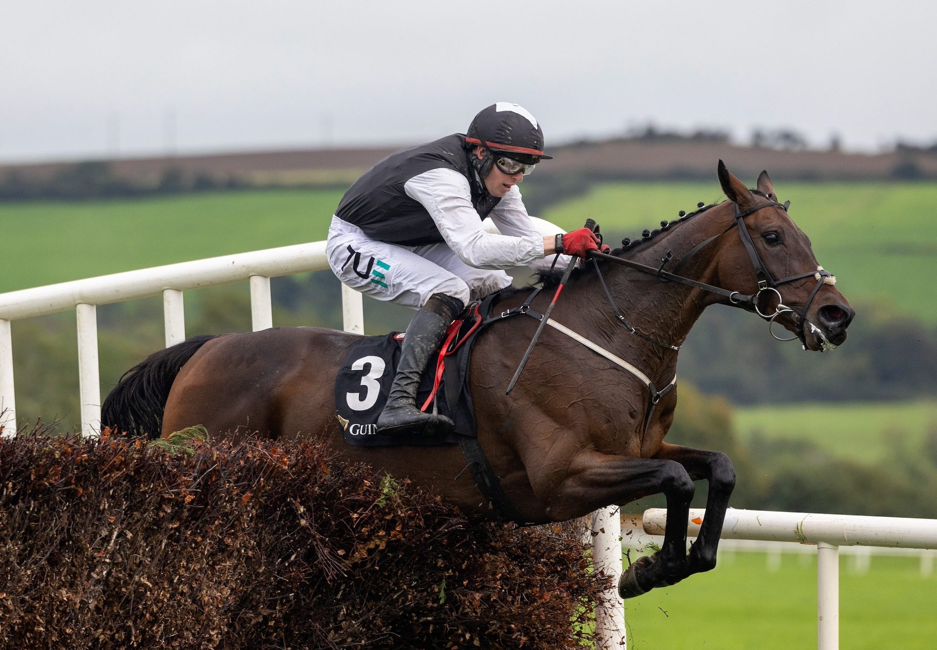 Flooring Porter (Yeats) Wins The Kerry National