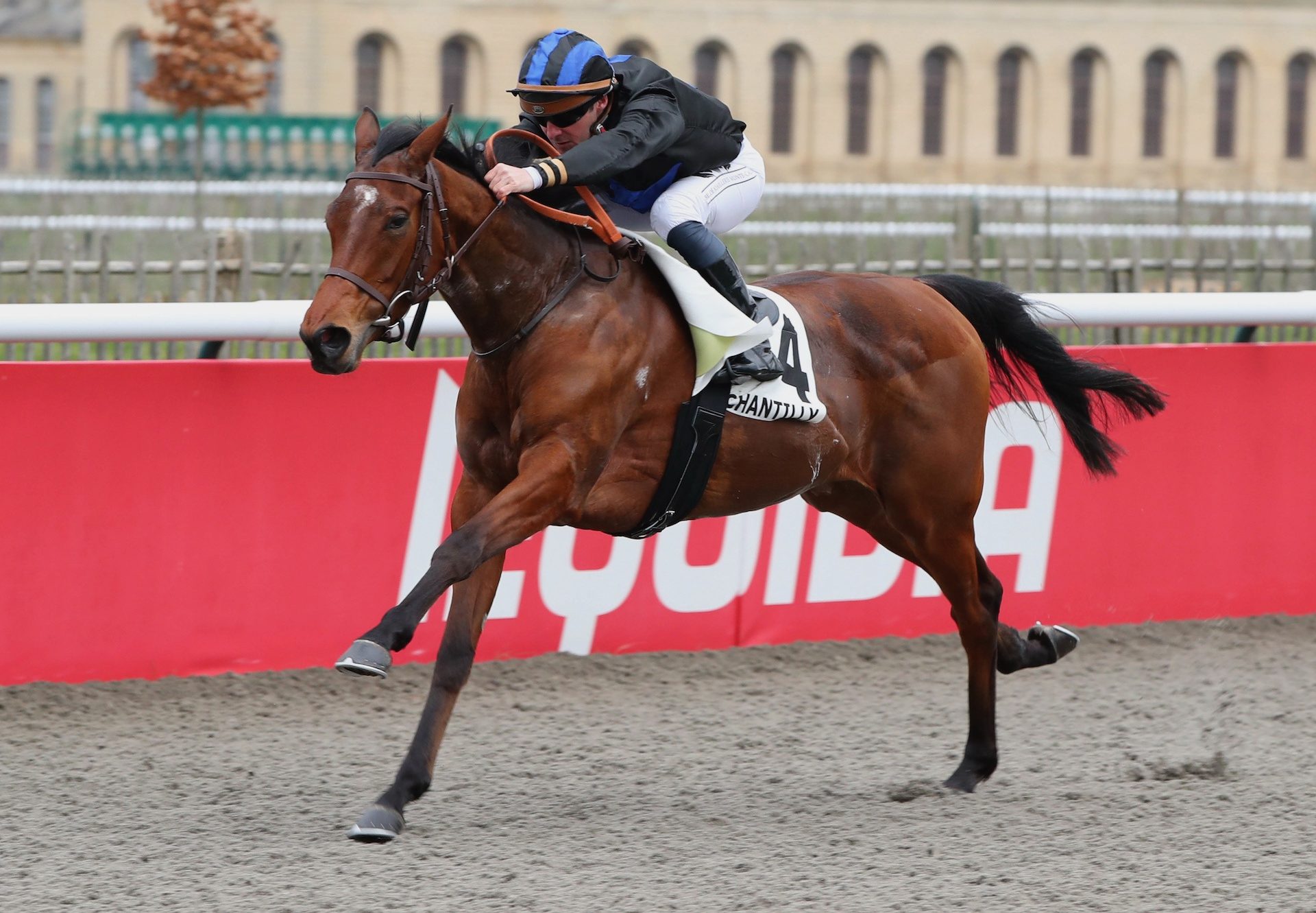 Goa (No Nay Never) Wins Her Maiden At Chantilly