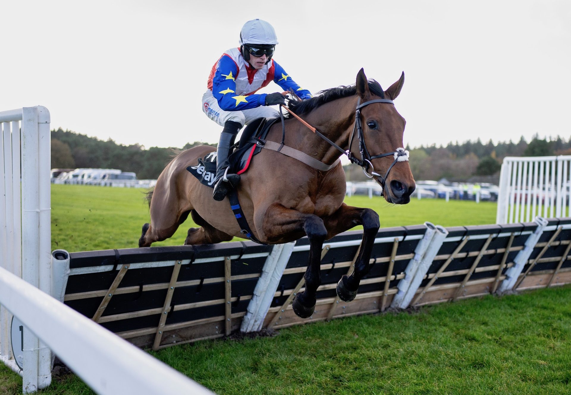 Insurrection (Getaway) Impresses On Hurdle Debut at Exeter