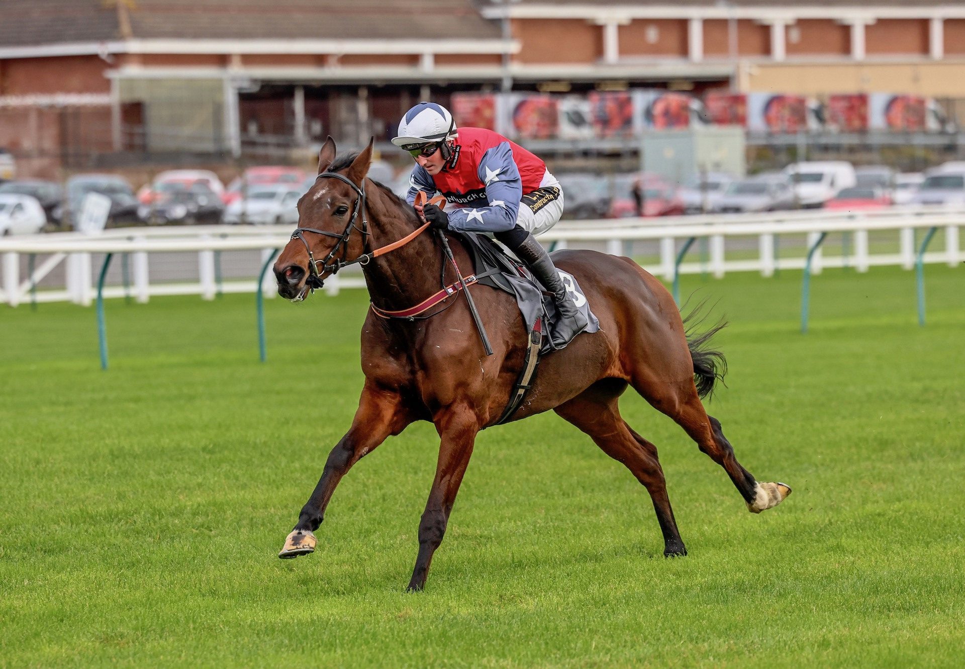 Primoz (Westerner) Wins The Novices Hurdle At Ayr