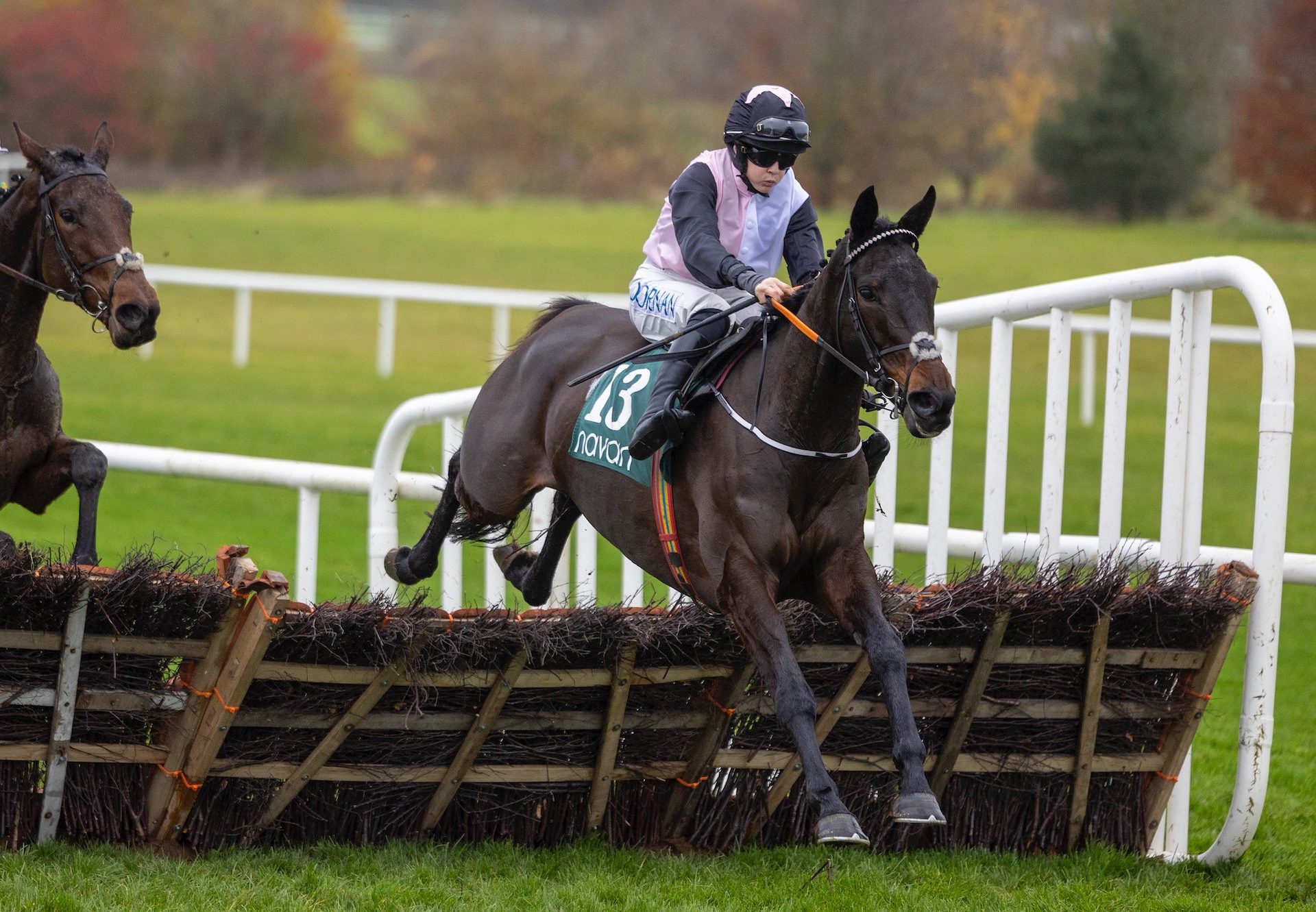 Look To The West (Westerner) Wins The Mares Maiden Hurdle At Navan