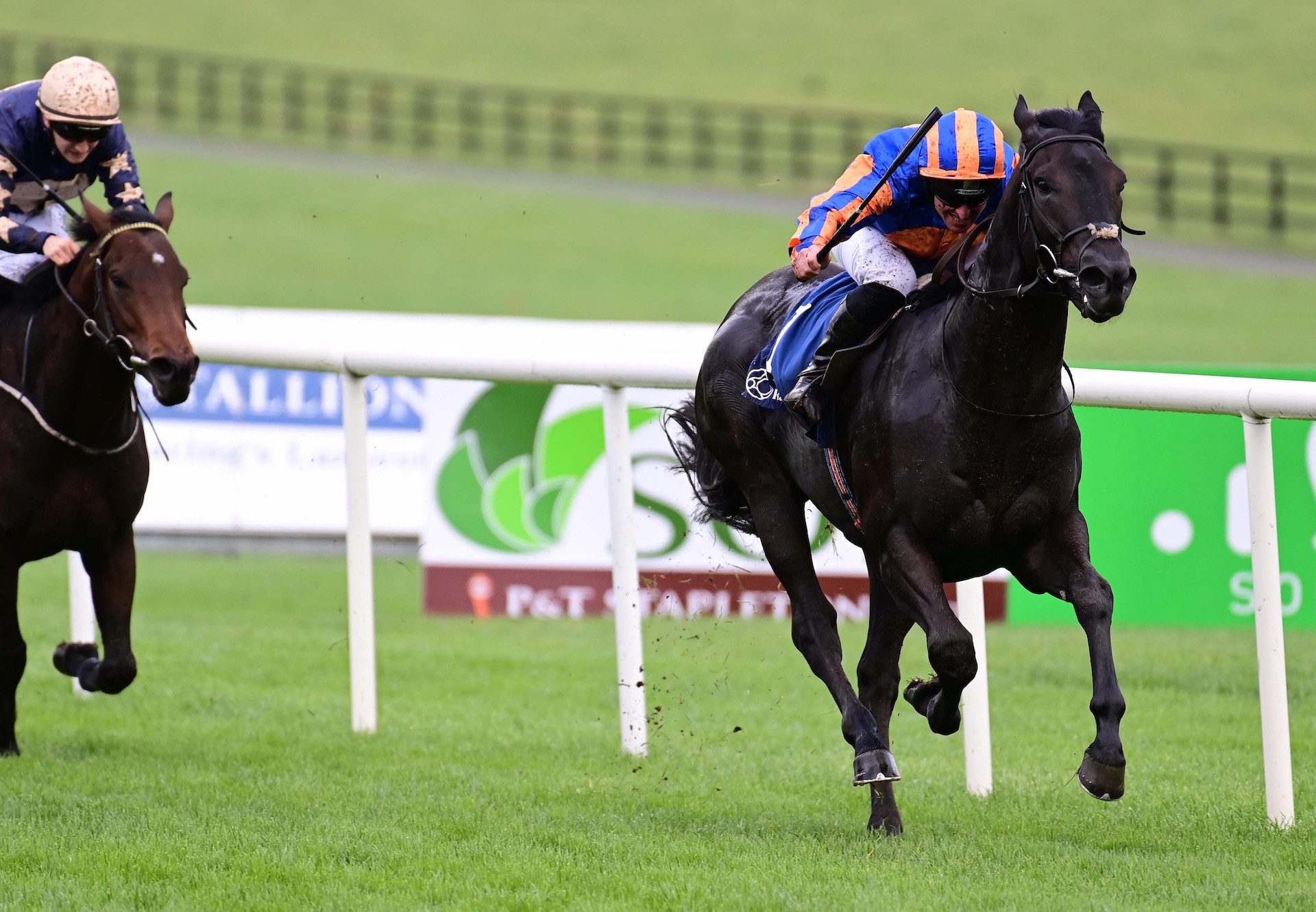 King Of Bavaria (No Nay Never) Wins The Birdcatcher Nursery At Naas