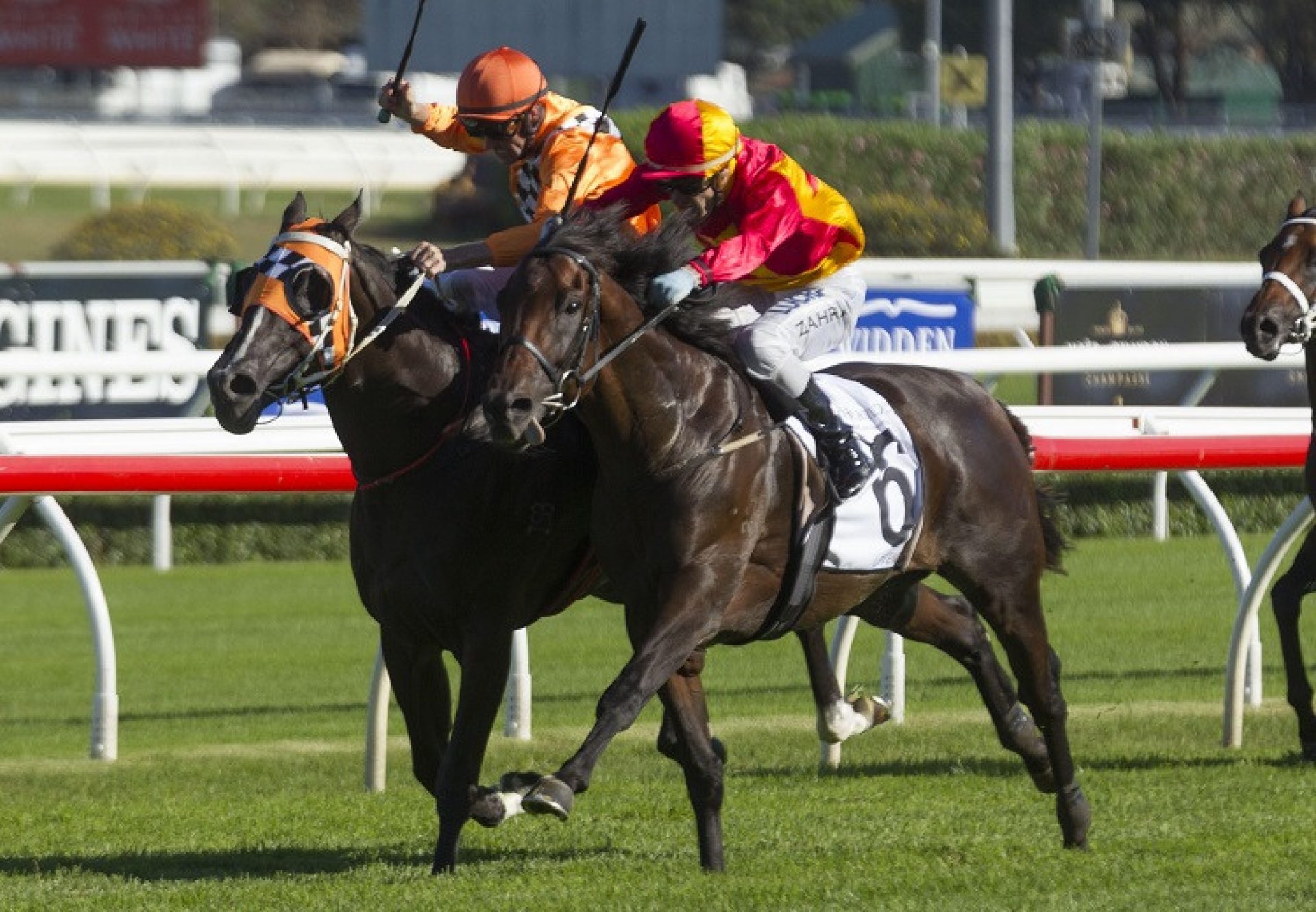 Levendi (Pierro) winning the G1 Australian Derby at Randwick